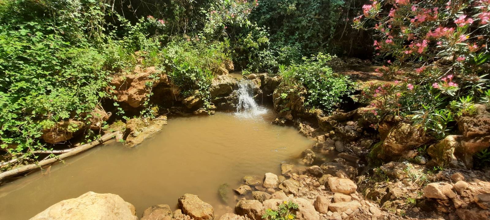 Nahal Betzet 6.3km