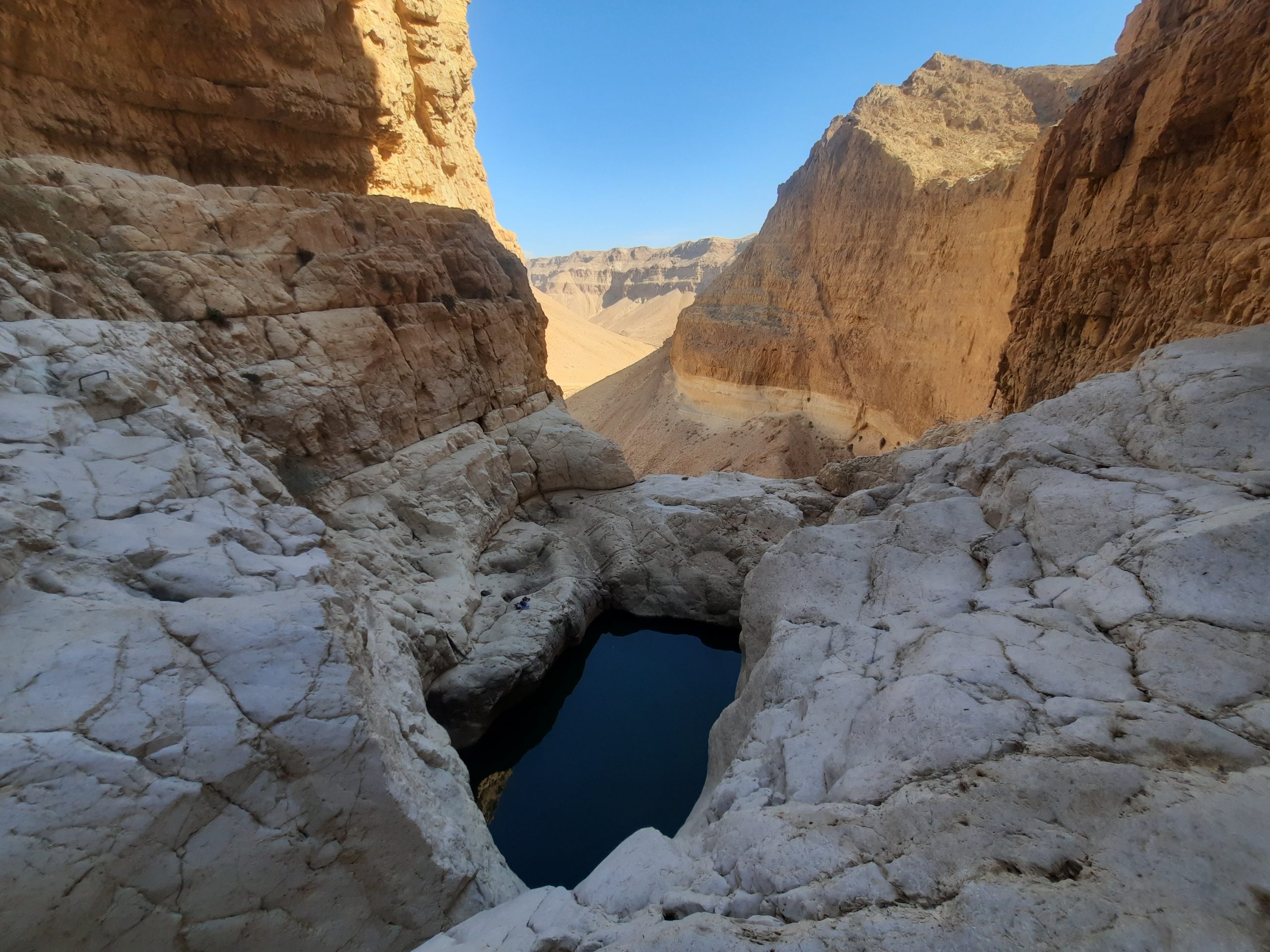 Lower Nahal Tze’elim 8km Loop