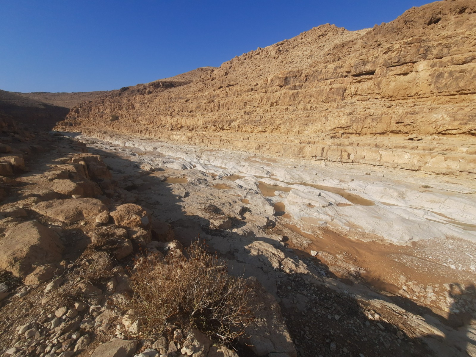 Upper Nahal Tze’elim 8.3km Loop