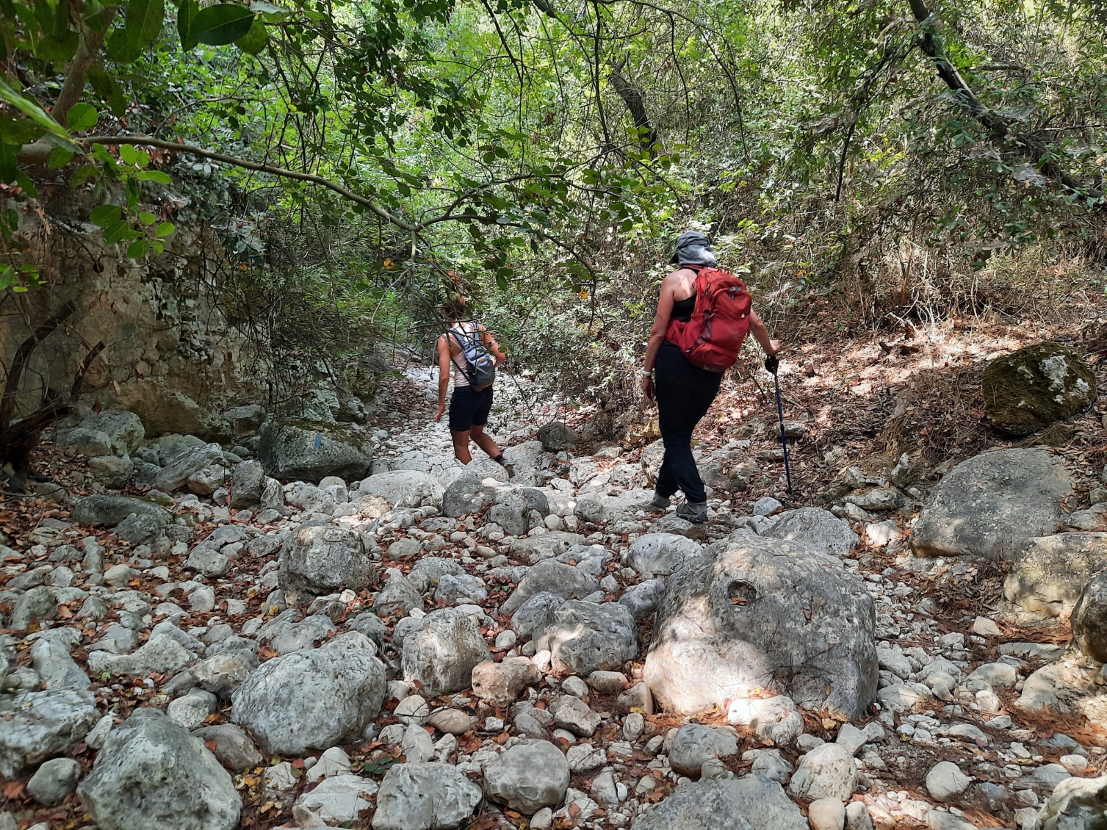 Nahal Bustan and Ein Hod 11 km Loop