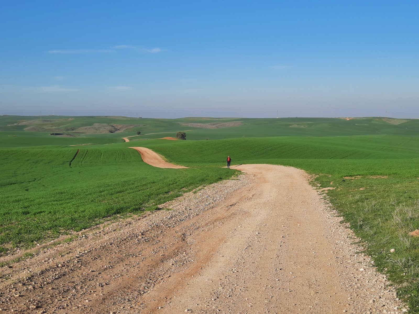 Nahal Pura and Nahal Shikma 12.9 km Loop