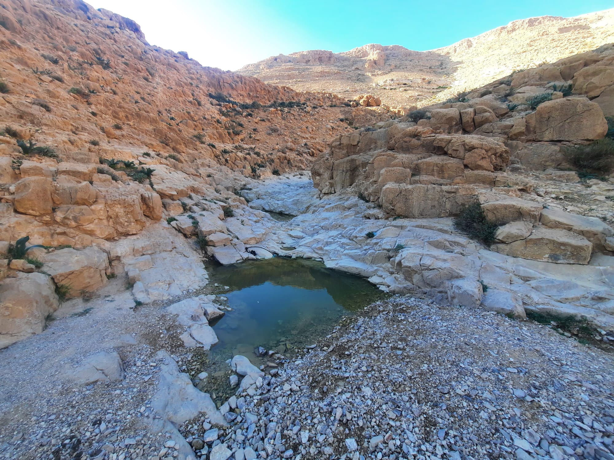 Upper Nahal Rahaf 8.8 km Loop