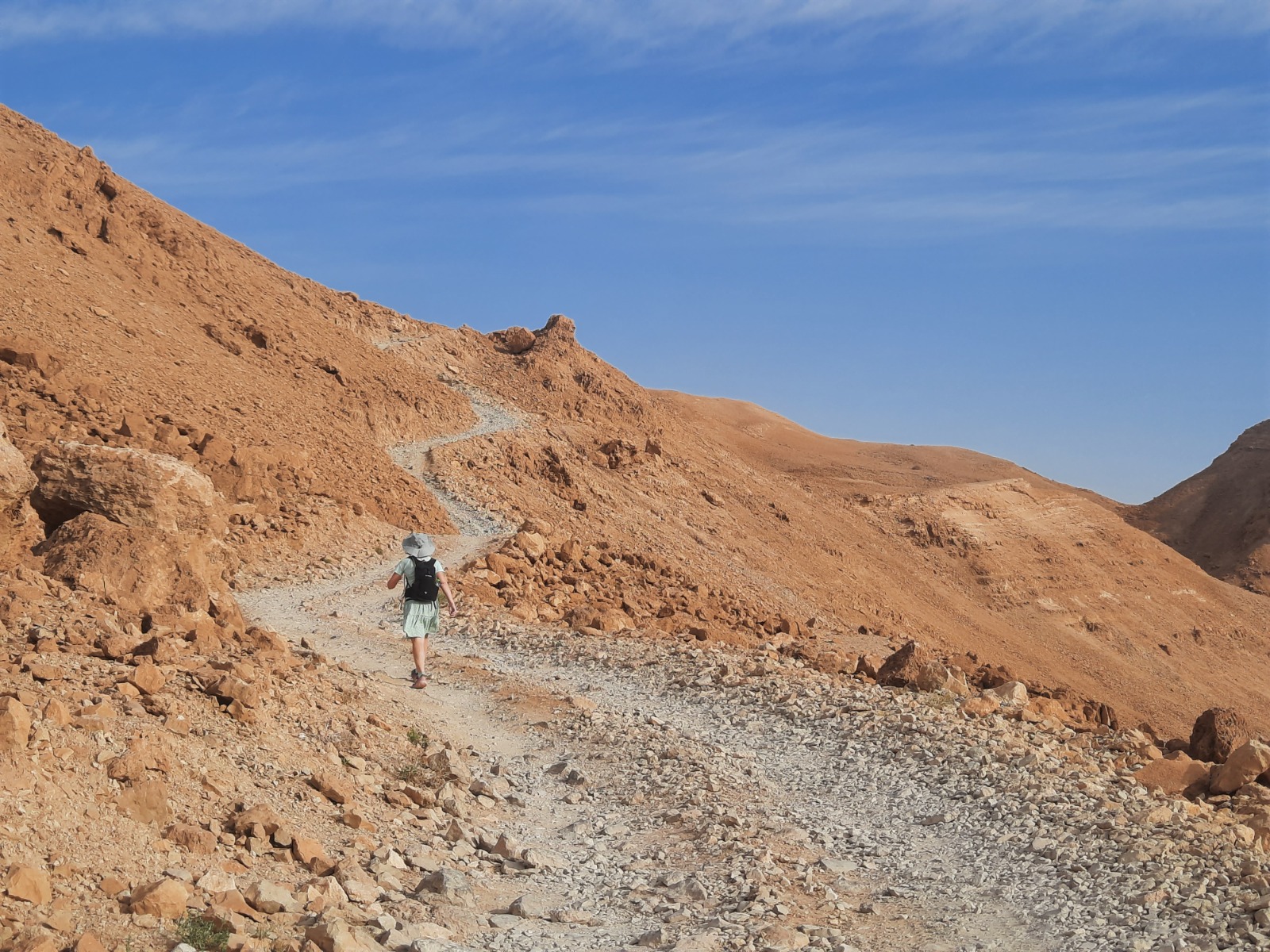 Yair Ascent and Nahal Bokek 12.6 km Loop