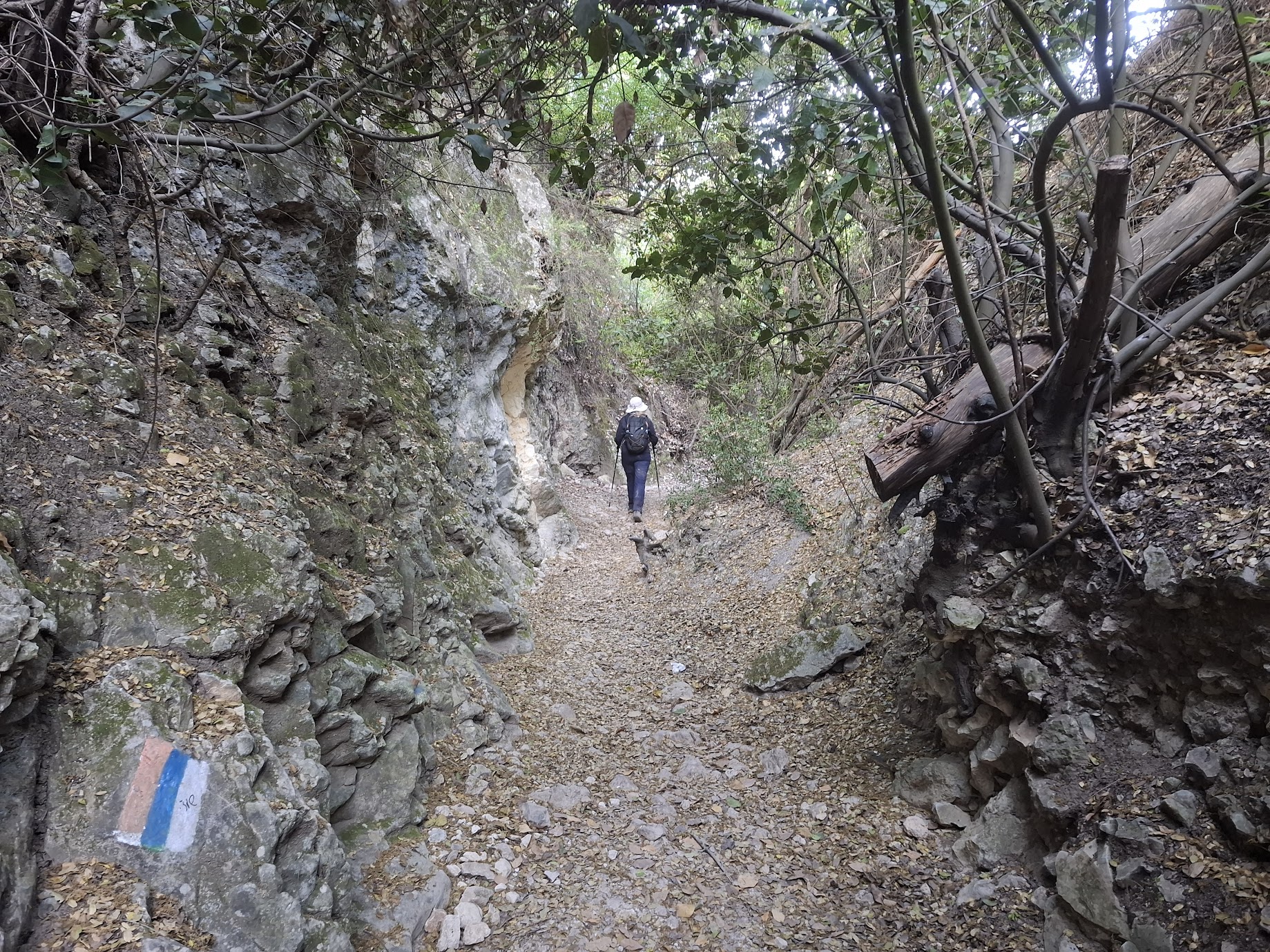 Nahal Hik and Nahal Kelach 15 km Loop